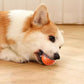 Smart Pet Bounce interaktiv bold