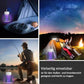 🔥Sommer Aktion 50% RABATT🔥-🦟USB / Wiederaufladbare Moskito & Fliegenfalle Lampe