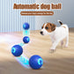 Smart Pet Bounce interaktiv bold
