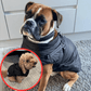 🐶Stort udsalg – 50 % rabat🔥3-i-1 vinterjakke til hunde – vandtæt og varm med indbygget sele