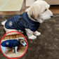 🐶Stort udsalg – 50 % rabat🔥3-i-1 vinterjakke til hunde – vandtæt og varm med indbygget sele