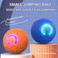 Smart Pet Bounce interaktiv bold