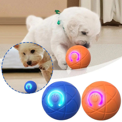 Smart Pet Bounce interaktiv bold