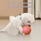 Smart Pet Bounce interaktiv bold