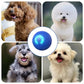 Smart Pet Bounce interaktiv bold