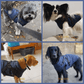 🐶Stort udsalg – 50 % rabat🔥3-i-1 vinterjakke til hunde – vandtæt og varm med indbygget sele
