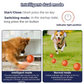 Smart Pet Bounce interaktiv bold
