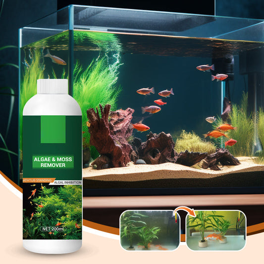 🎉Buy More Save More💥 Algen- & Moosentferner für das Aquarium - Sichere Wasseraufbereitung