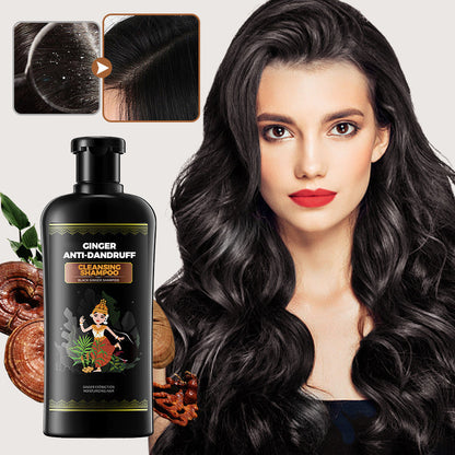 Ingwer Anti-Schuppen Reinigungsshampoo